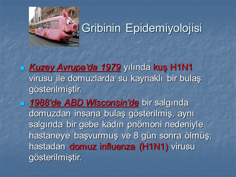 Gribinin Epidemiyolojisi Kuzey Avrupa’da 1979 yılında kuş H1N1 virusu ile domuzlarda su kaynaklı bir